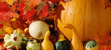 Jak odżywiać się jesienią?